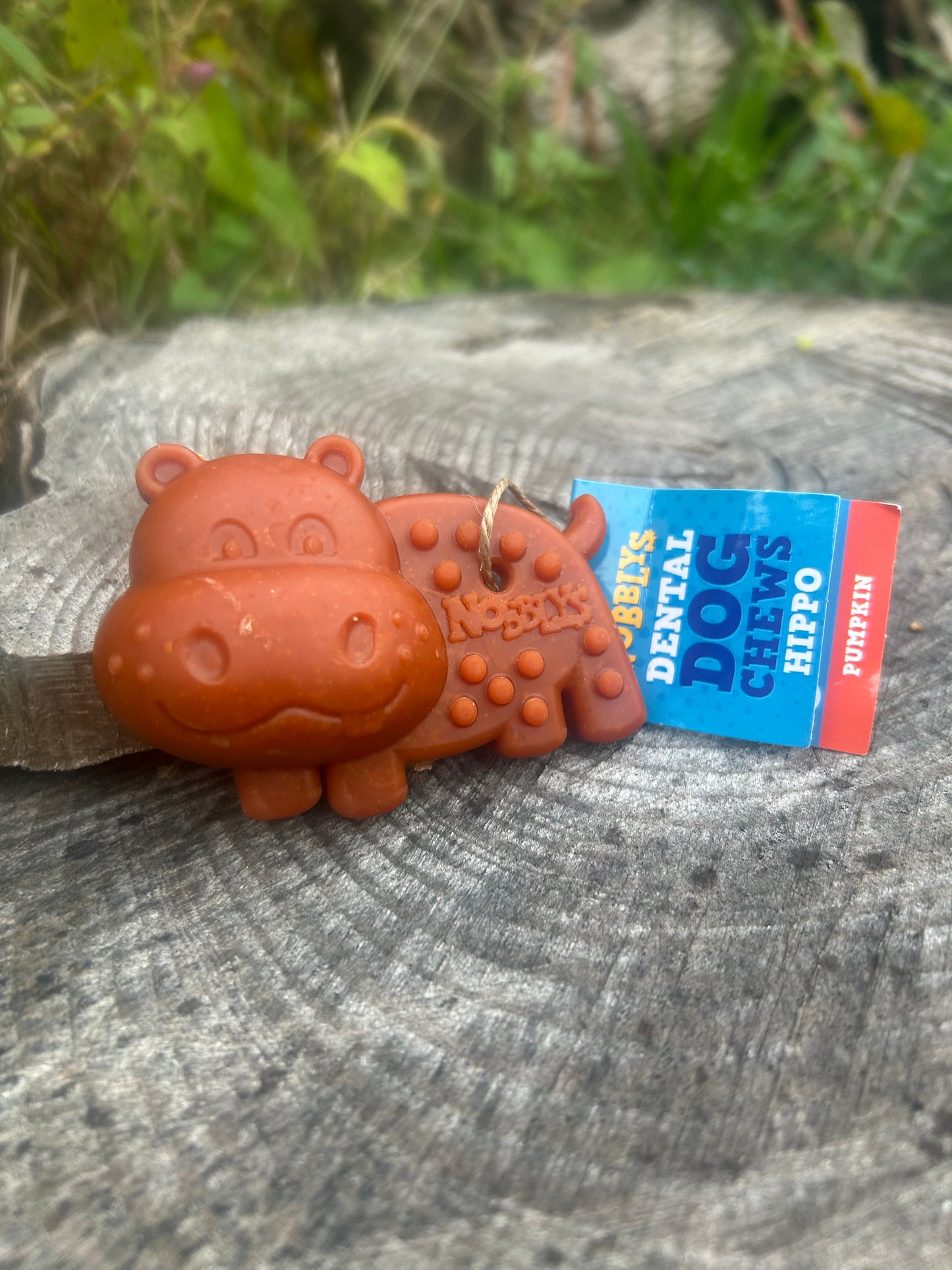 NOBBLYS DENTAL VEGAN DOG CHEW - PUMPKIN HIPPO