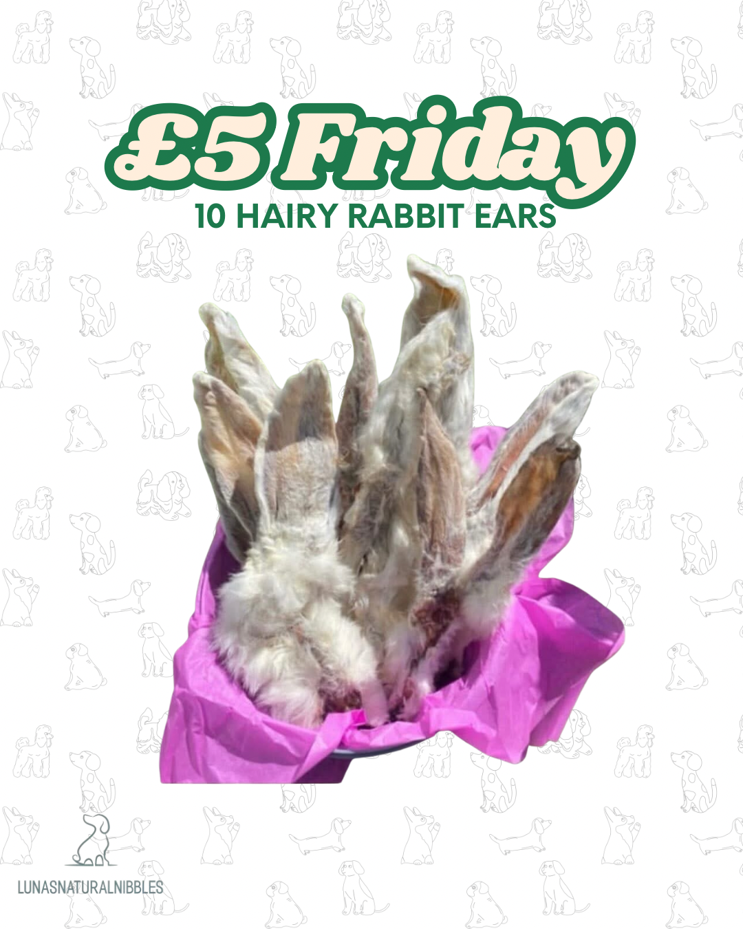 Fiver Friday
