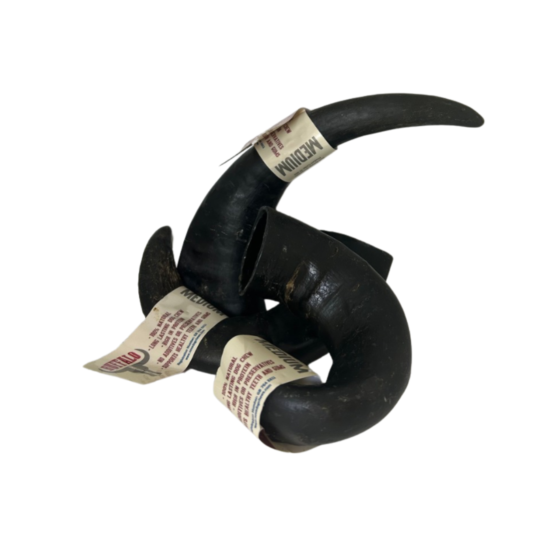 Buffalo Horn