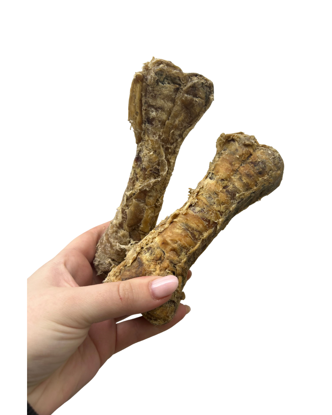 Buffalo Trachea Bone