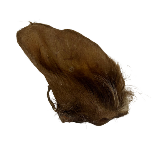 Hairy Cow Ear