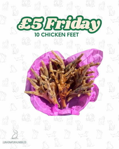 Fiver Friday