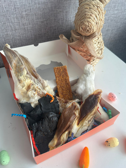 🐰 Bunny Burrow Box🐰