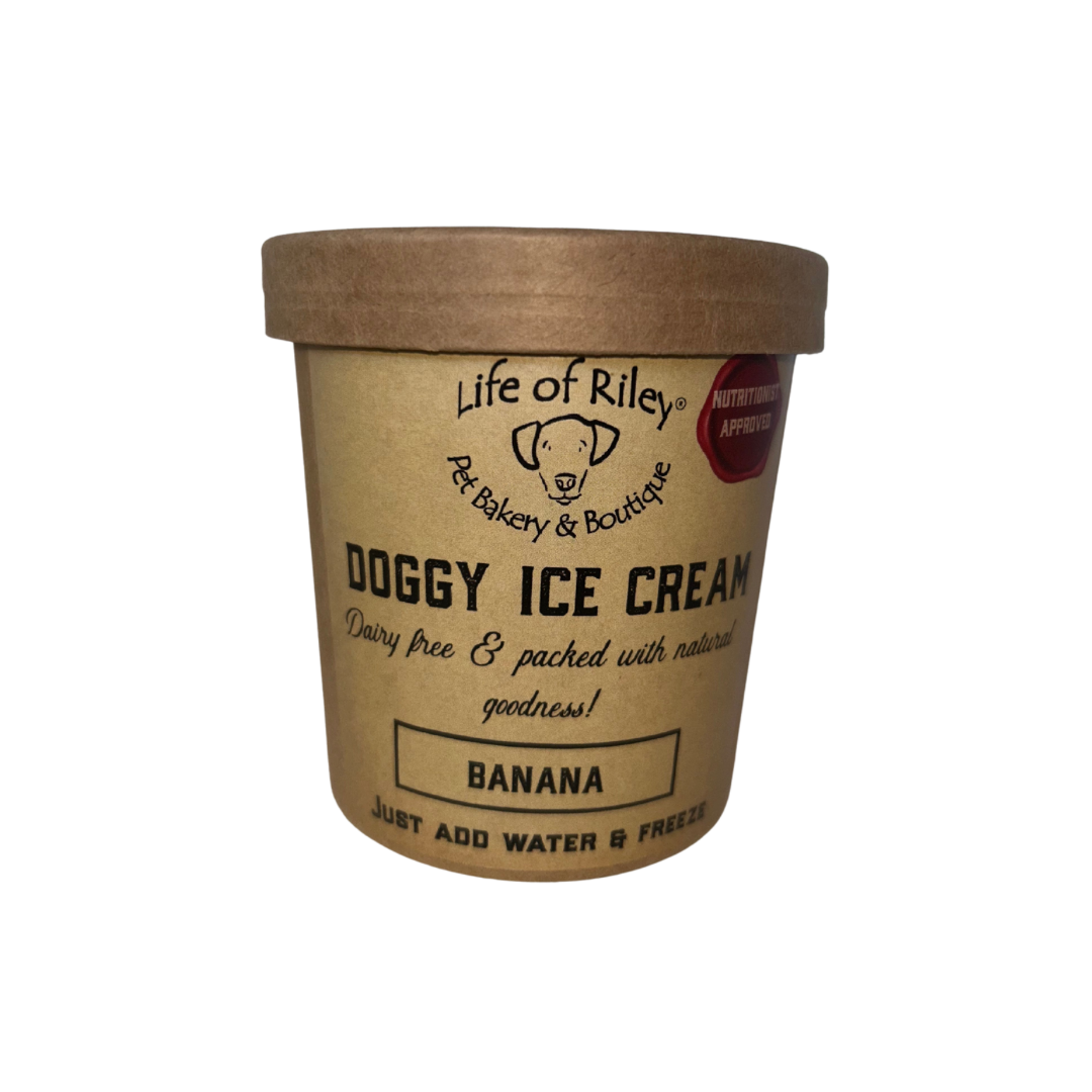 Doggy Ice Cream