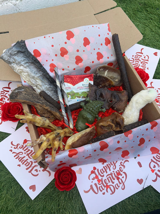 I Chews You Valentines Box