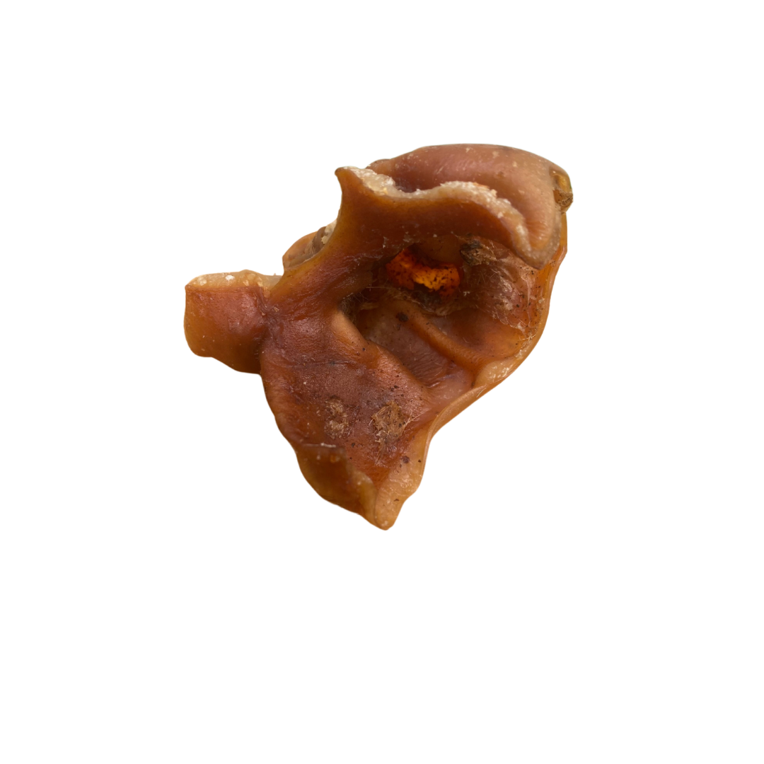 Porky Bite