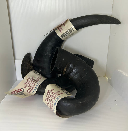 Buffalo Horn