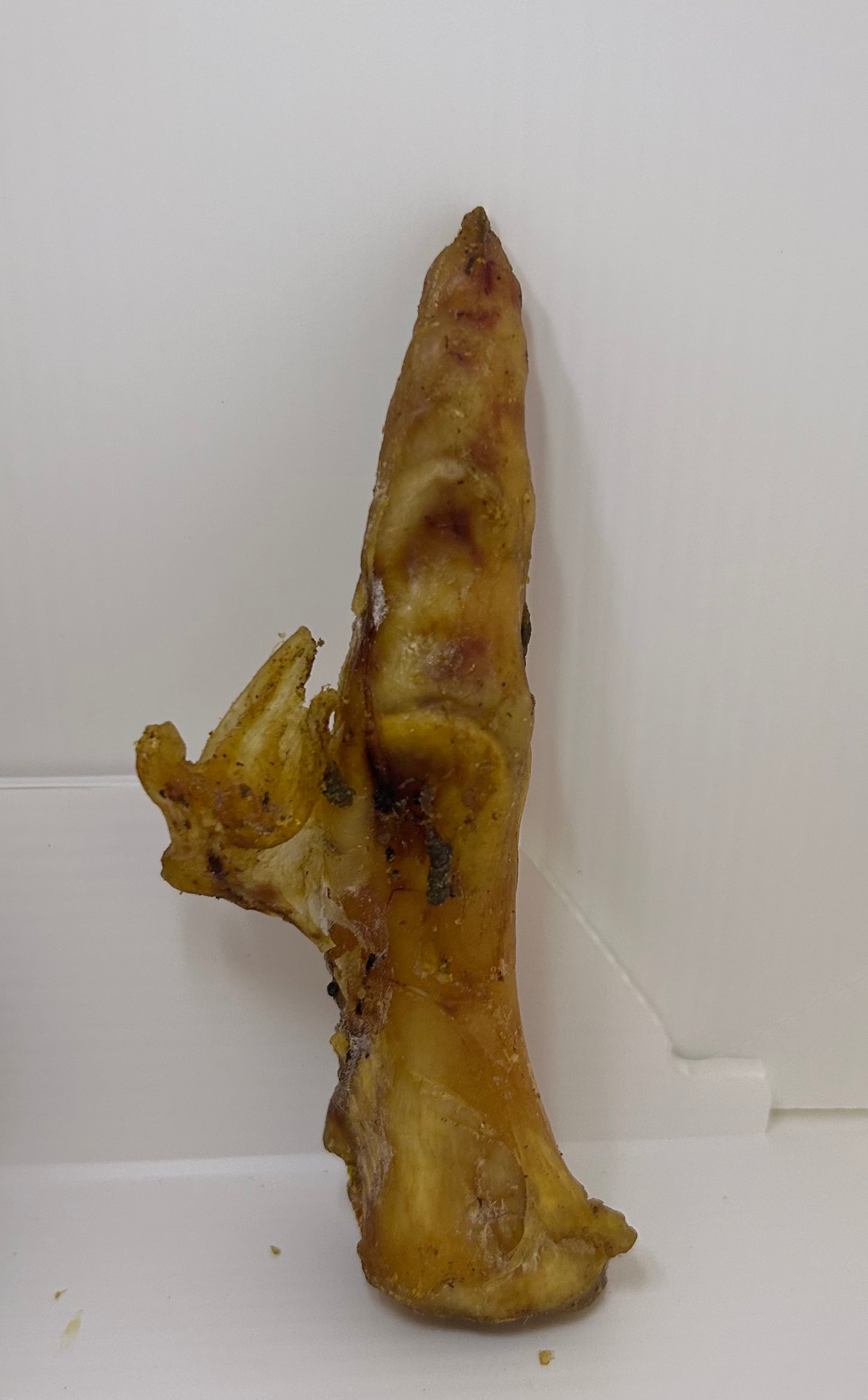 Ostrich Foot