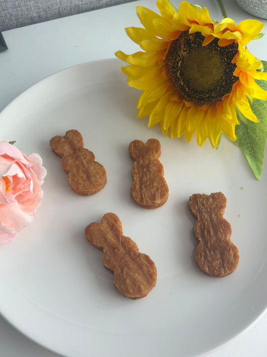 🌷 Floppy Bunny Treats 🌷