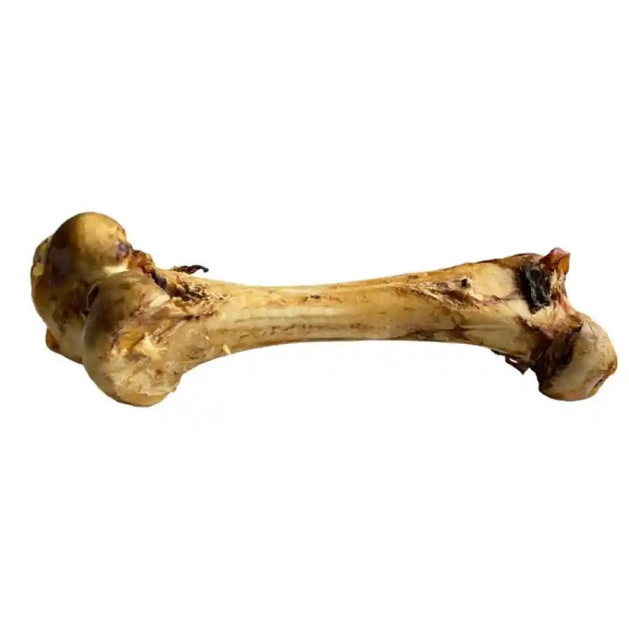 Ostrich Bone